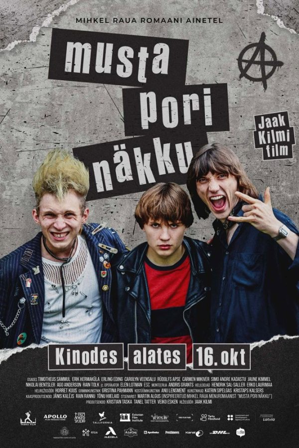 Musta pori näkku